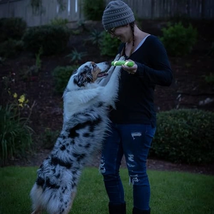 Gece Parlayan Köpek Oyuncağı, Ultra Fetch Stick