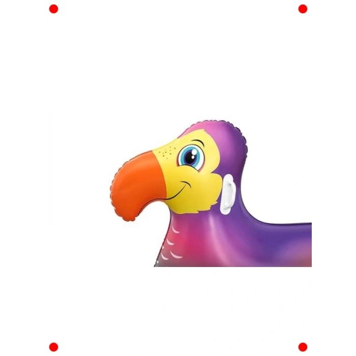 Geniş Aile Şişme Havuzu: Yaz Eğlencesi İçin