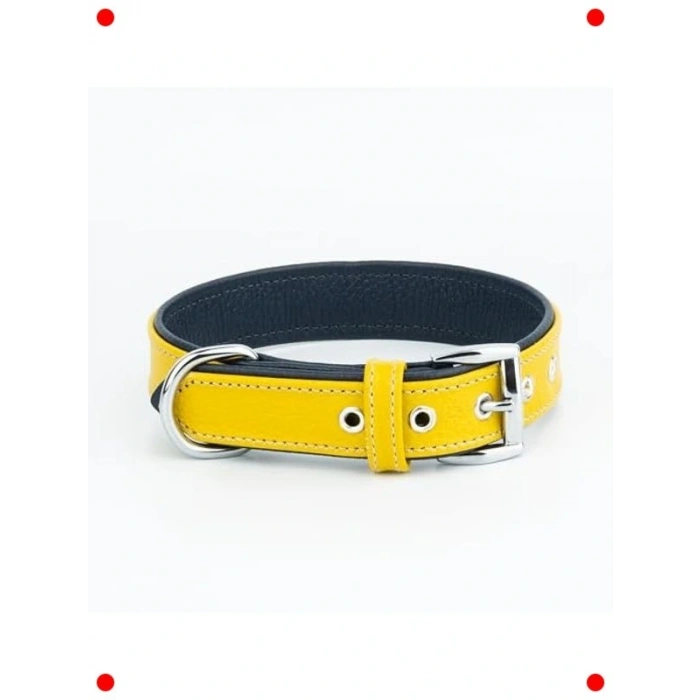 Gerçek Deri Köpek Tasması - Ultra Dayanıklı, Çift Katmanlı