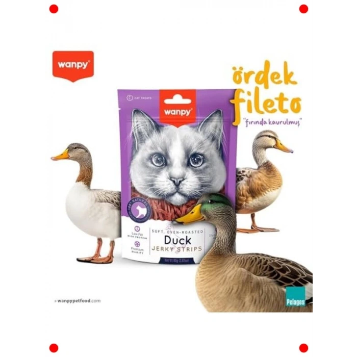 Gerçek Ördek Fileto Yumuşak Kedi Ödülü 80 gr