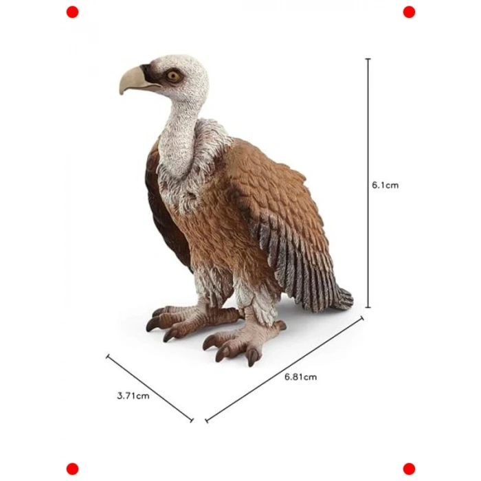 Gerçekçi Akbaba Hayvan Figürü