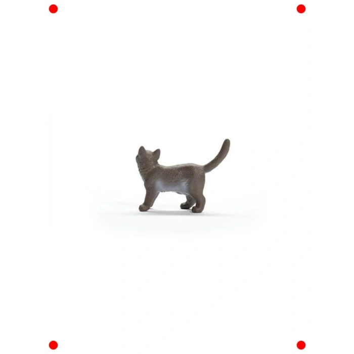 Gerçekçi British Shorthair Kedi Figürü
