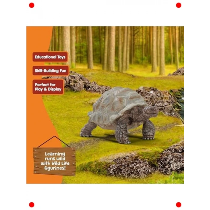 Gerçekçi Dev Tosbağa Figürü