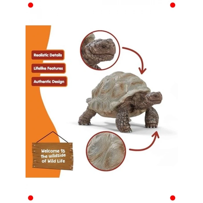 Gerçekçi Dev Tosbağa Figürü