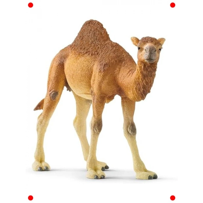 Gerçekçi Hörgüçlü Deve Oyuncak Figürü
