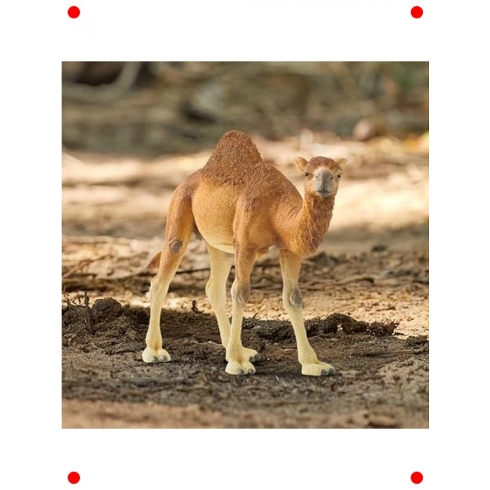 Gerçekçi Hörgüçlü Deve Oyuncak Figürü