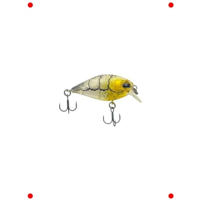 Gerçekçi Karides Yem Balıkçılık