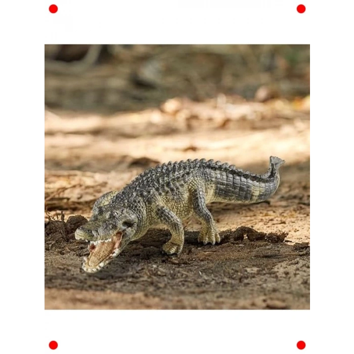 Gerçekçi Timsah Hayvan Figürü - Eğitim ve Oyun