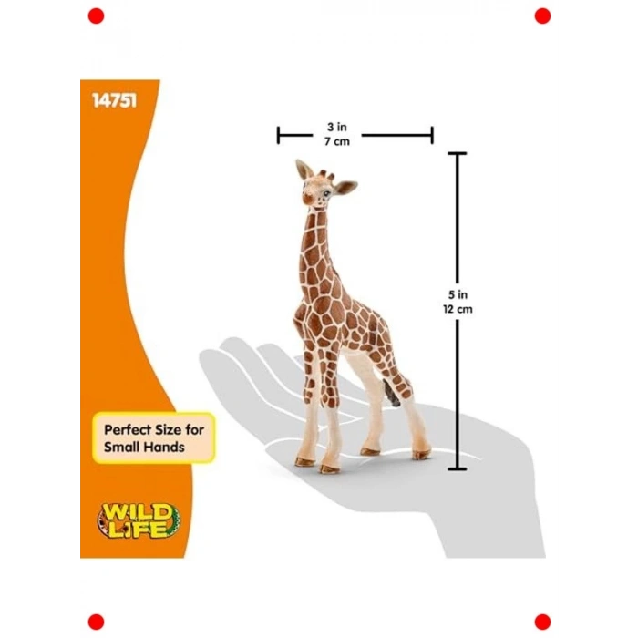 Gerçekçi Yavru Zürafa Figürü - Yaban Hayatı