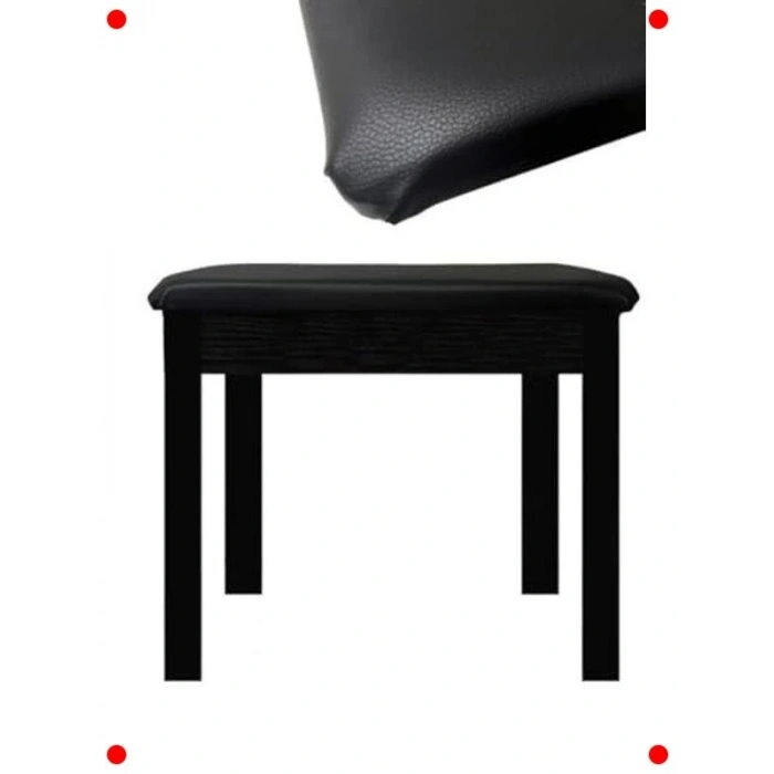 Gizli Bölmeli Siyah Piyano Tar