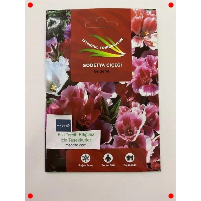 Godetya Çiçeği Karışık Renk Tohumları - 300 Adet
