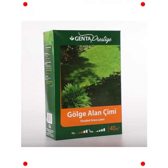 Gölge Alanlara Özel 1 Kg Dayanıklı Çim Tohumu