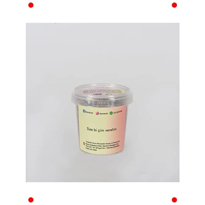 Gülümseyen Bitki Adamı Dekoratif Set