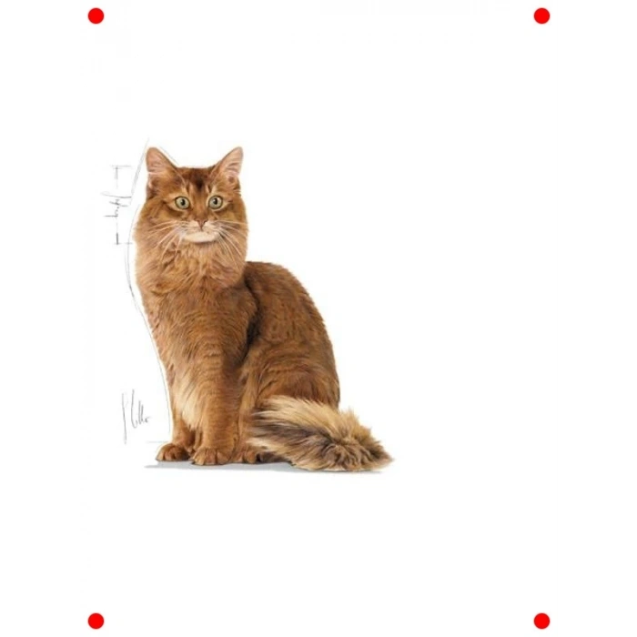 Hafif Formül Yaş Kedi Maması - Kilo Kontrollü 12x85g