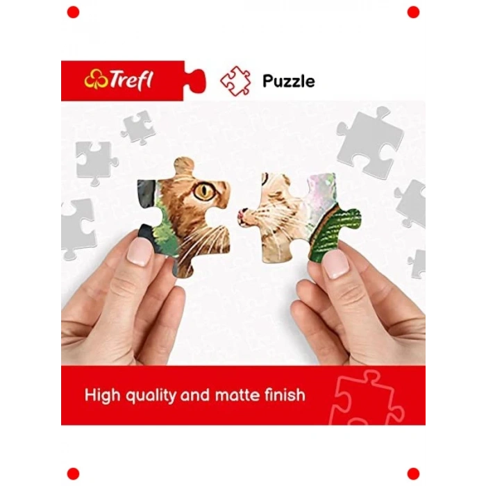 Haifoss Şelalesi 2000 Parça Puzzle