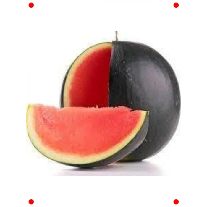 Halep Karası Karpuz Tohumu - Büyük ve Sulu Lezzet