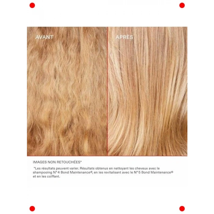 Hasarlı Saçlar İçin Onarıcı Bakım Şampuanı (100 ml)