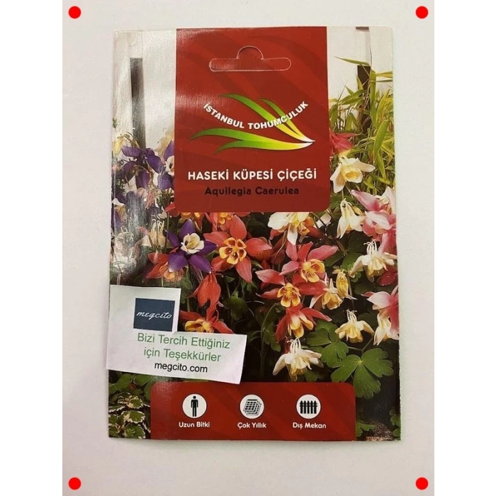 Haseki Küpesi Tohumu Karışık Renkler - 150 Adet