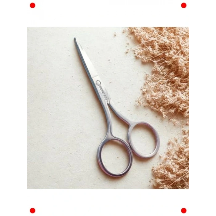 Hassas Bakım İçin Paslanmaz Çelik Makas