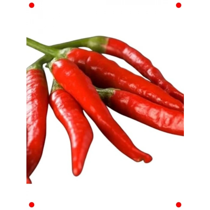 Hatay Acı Biber Tohumu - Yoğun Lezzet
