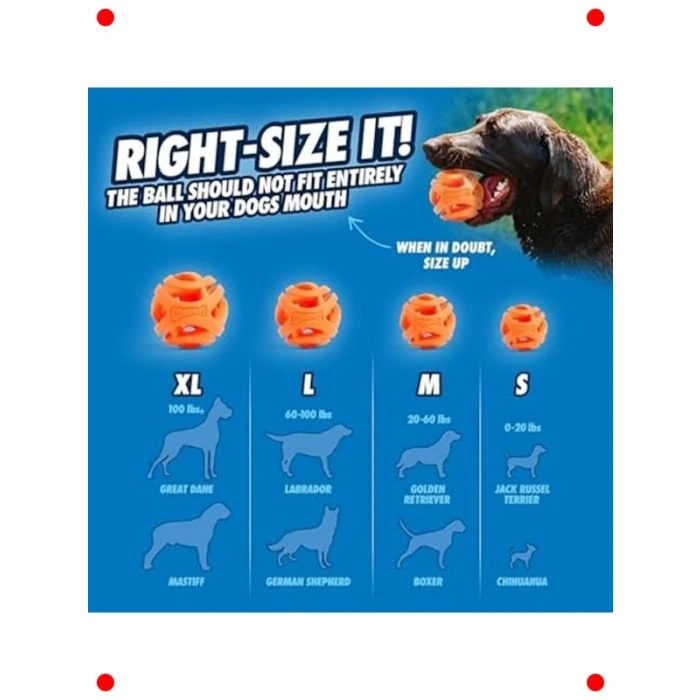 Hava Delikli Köpek Oyun Topu Orta Boy (2li Paket)