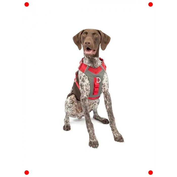 Hava Geçiren Dolgulu Köpek Koşum Takımı - M Beden