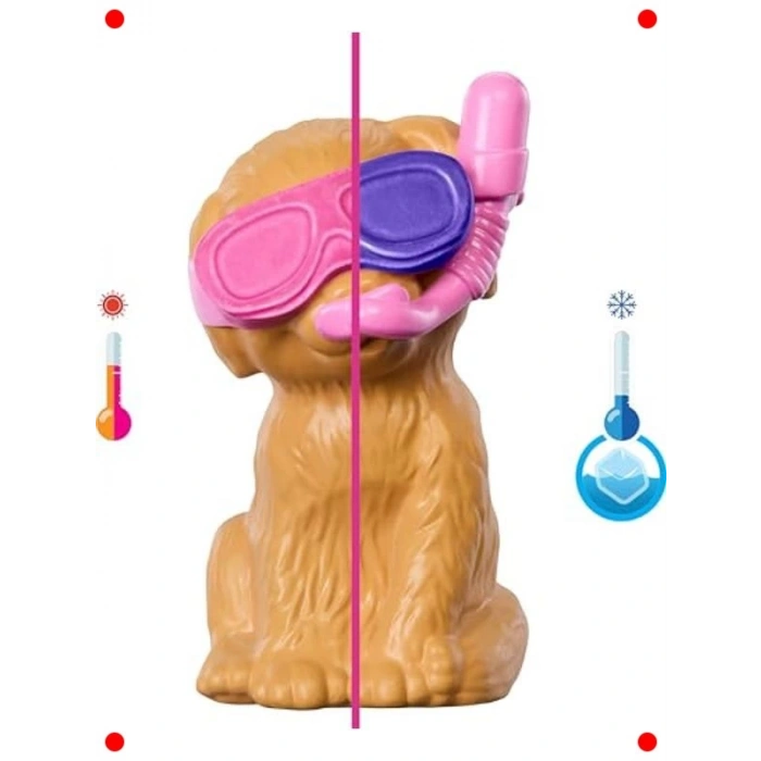 Havuz Partisi Oyun Seti: Köpekçik ve Renk Değişimi