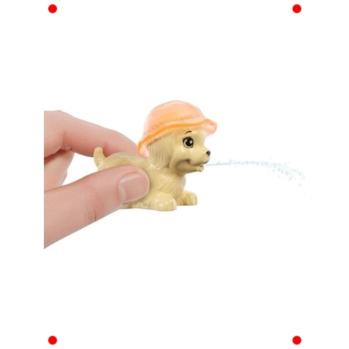 Havuz Partisi Oyun Seti: Köpekçik ve Renk Değişimi