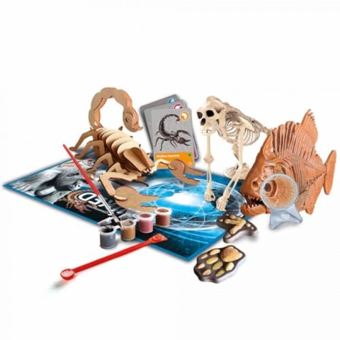 Hayvanların Tarihi Temalı Bilim ve Oyun Seti