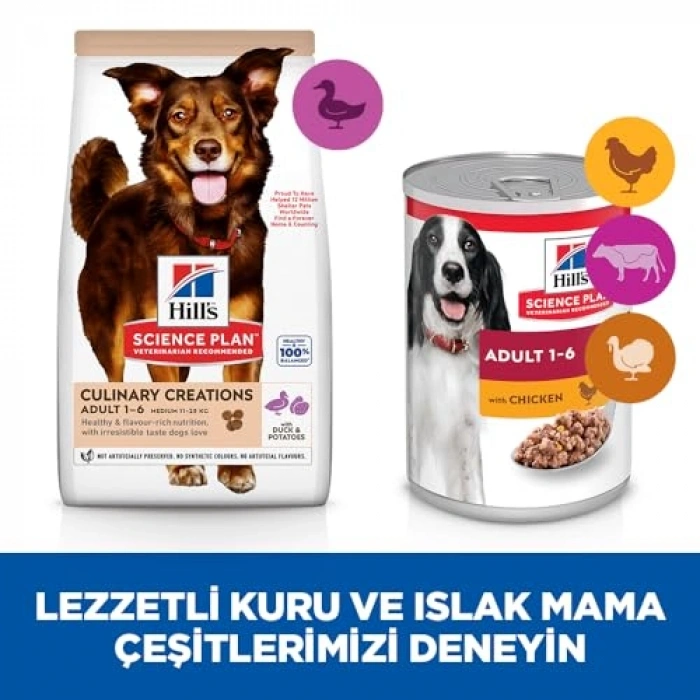 Hills Hills Ördekli Medium Köpek Maması 14