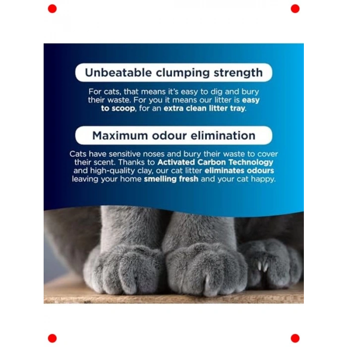 Hızlı Etkili Koku Önleyici Kedi Kumu 10 L