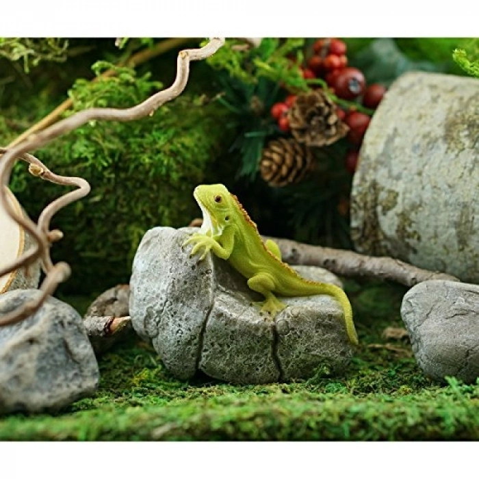 İguana Figürü ile Kaya Heykeli, Teraryum Süsü
