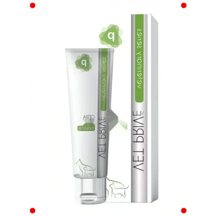 İleri Yaş Evcil Hayvan Destekleyici Pasta 100 gr