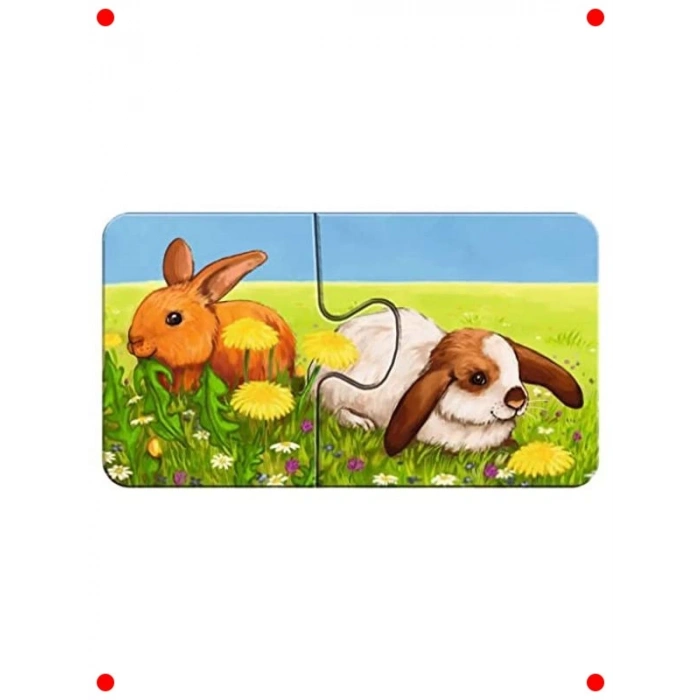 İlk Yapbozum: Hayvanlar Temalı Renkli Set (1+ Yaş)