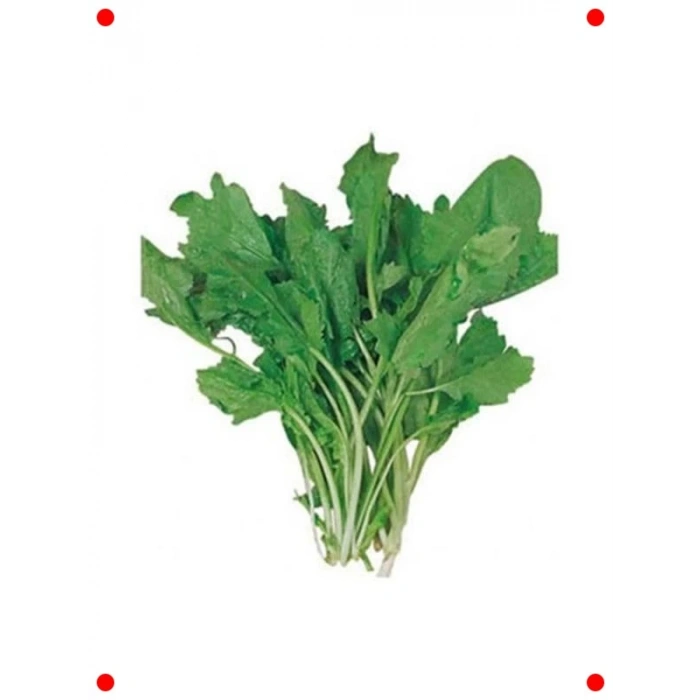 İnce Yapraklı Tere Tohumu - Hızlı Büyüyen Lezzet