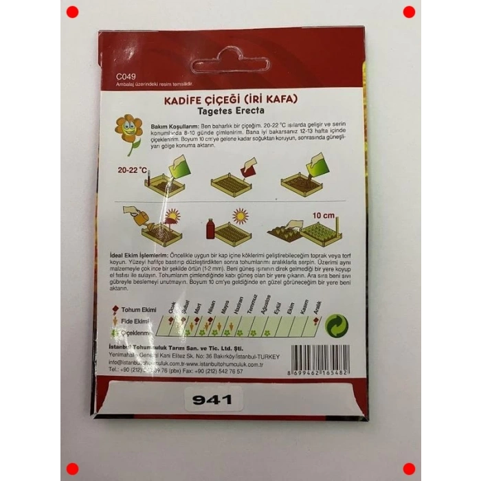 İri Kafalı Kadife Karışık Renk Tohumları - 75 Adet