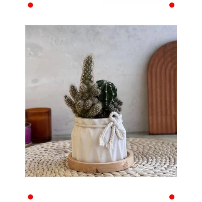 İskandinav Beyaz Beton Saksı İkili Seti