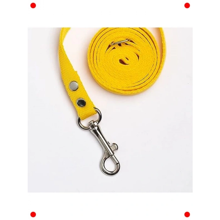 Kaçış Önleyici Evcil Hayvan Gezdirme Tasması (S, Sarı)