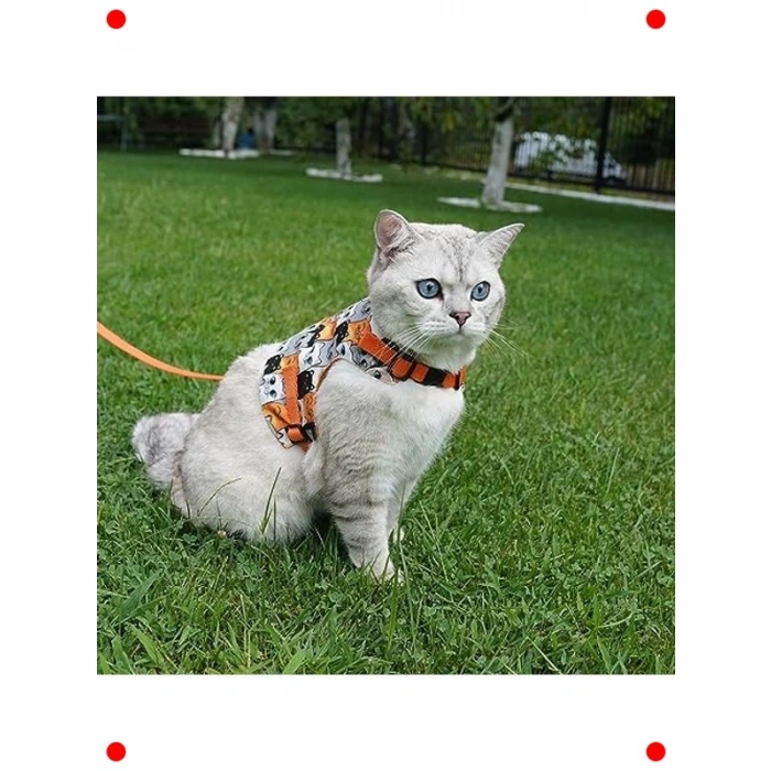 Kaçış Önleyici Kedi Köpek Gezdirme Tasması, M Beden