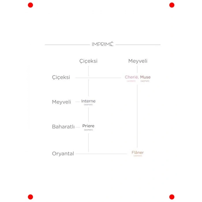 Kadın Parfüm Deneme Seti - 5 Farklı Koku 2 ml