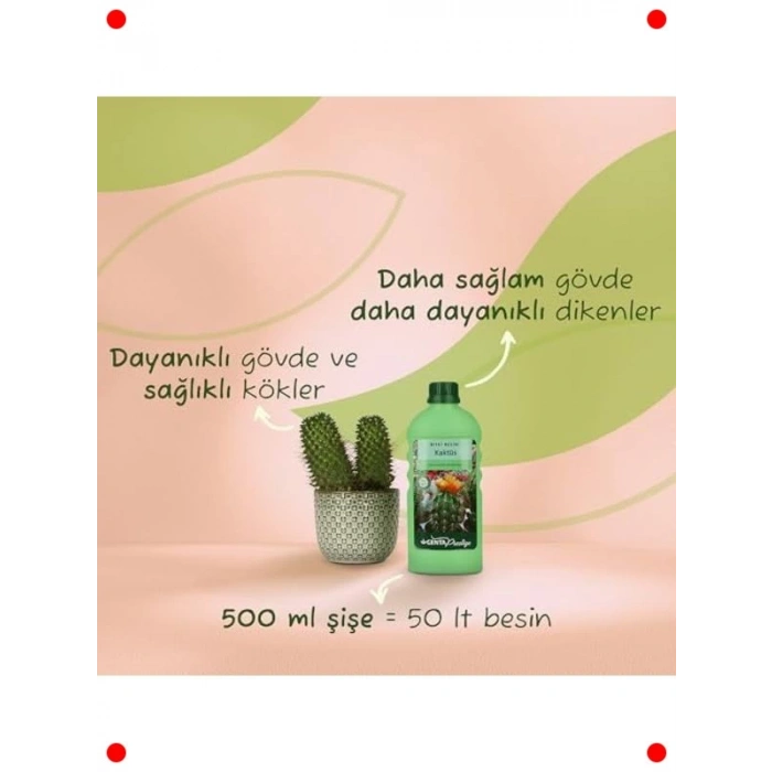 Kaktüsler İçin Sıvı Bitki Besini 500 ml