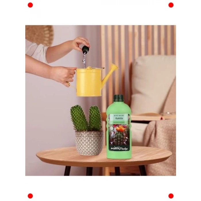 Kaktüsler İçin Sıvı Bitki Besini 500 ml