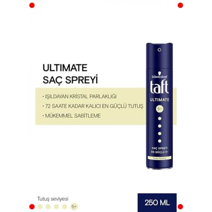 Kalıcı Tutuş Sağlayan Saç Spreyi 250 ml