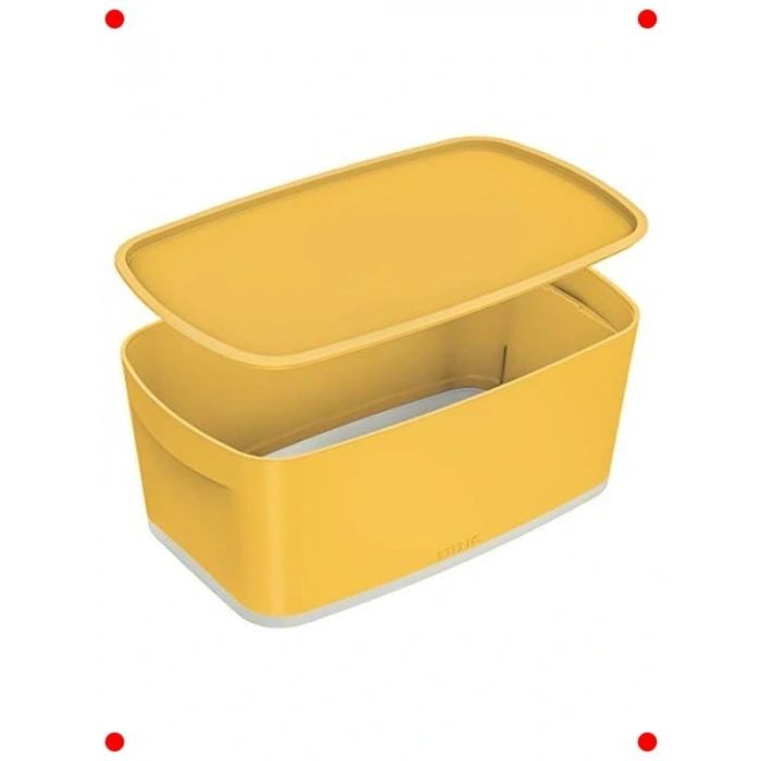 Kapaklı Küçük Ofis Saklama Kutusu - Tekli