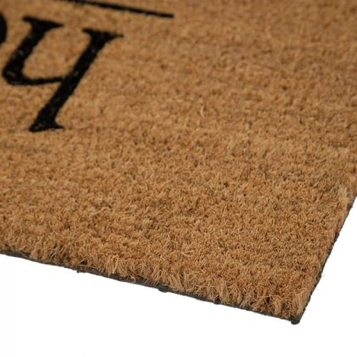 Kapı Paspası, 40x60 cm Modern Tasarım