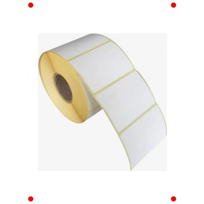 Kargo Termal Etiket 100x100mm - 500 Adet Rulo