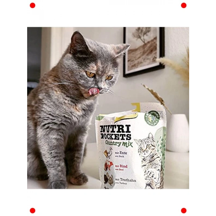 Karışık Lezzet Kedi Ödül Tableti - 150 gr