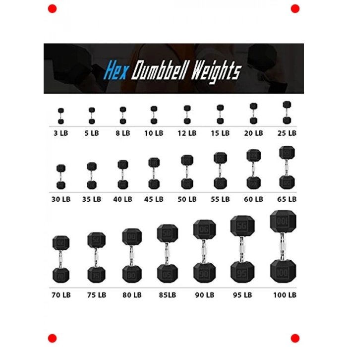 Kauçuk Kaplamalı Döküm Demir Dambıl