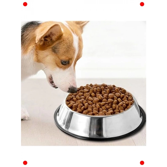 Kaymaz Tabanlı Paslanmaz Çelik Pet Kase 18 cm