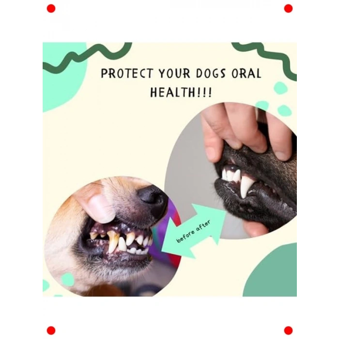 Kedi Ağız & Diş Bakım Damlası, Koku Önleyici